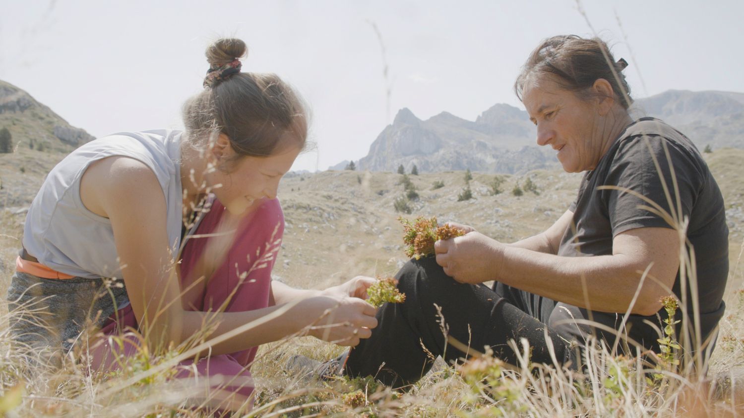 Film „Planina“ u užem izboru za Evropsku filmsku nagradu